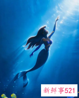 梦见美人鱼有什么征兆