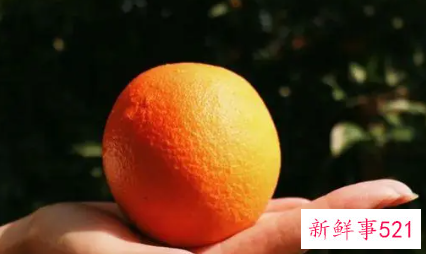 脐橙可以保存多久