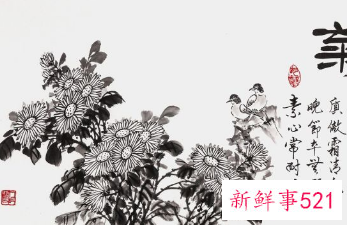 茶房挂什么字画好