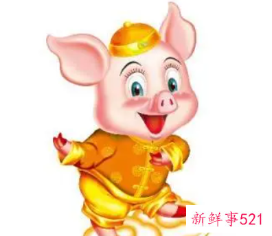 92属猴和95属猪相配吗