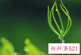 立春快乐的祝福语