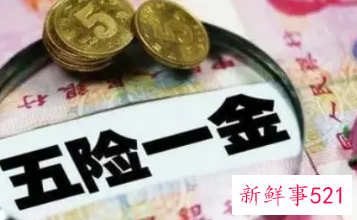 自己交五险去哪办理