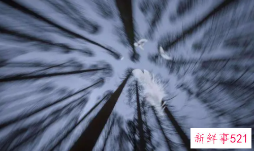 梦见一团白光飞进身体里