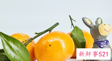 咳嗽怎样注意饮食