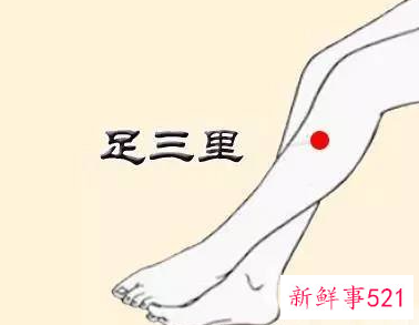 怎么找到足三里的准确位置