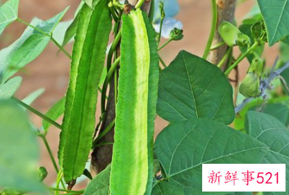 四十五岁女人减肥食谱