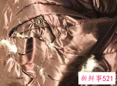 冬天穿羽绒内胆实用么