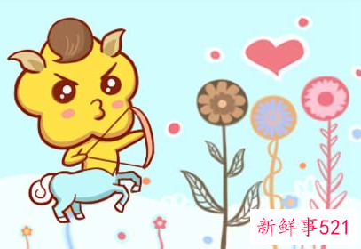 属马的运气如何