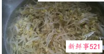 凉拌绿豆芽干豆腐丝