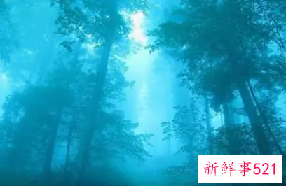 梦见别人向自己表白是什么意思