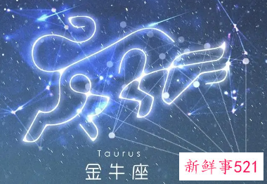 十二星座对应花的花语