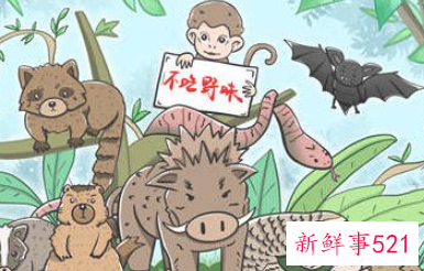 当代大学生如何保护野生动物