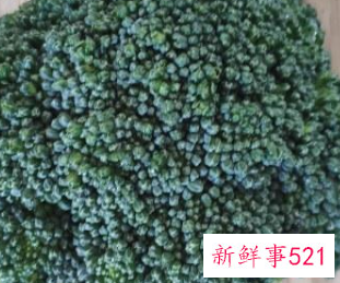 西兰花正确的焯水方法