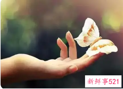 新鲜感消失的表现