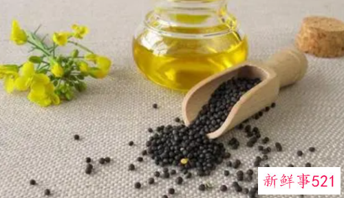 菜籽出油率有多少