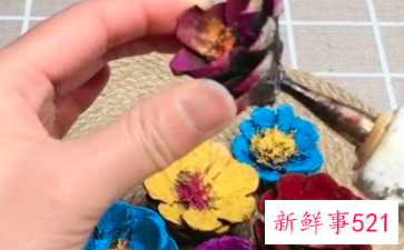 松果能做什么装饰品