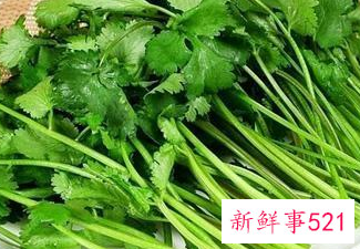 吃香菜对女人有啥坏处