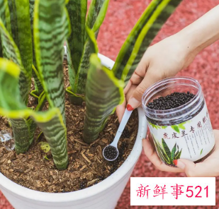 盆花施肥的原则要求