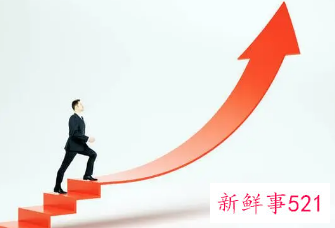 个人对职业发展的想法