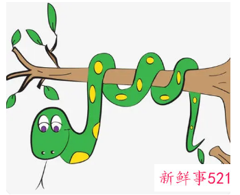 梦见自己抱着蛇是什么意思