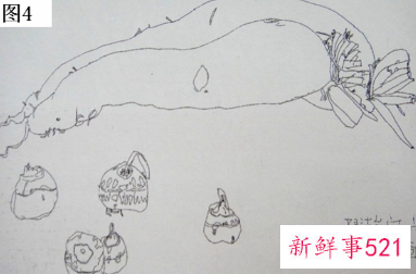 教孩子画画的方法