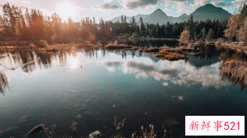 男女之间会成为朋友吗