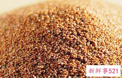 海藻面膜的用法