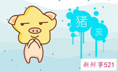 属猪最命苦出生日期是什么时候