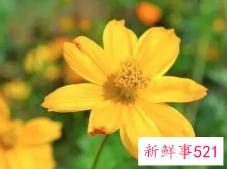 运气差怎么形容