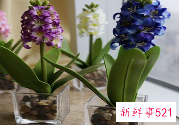 摆假花有什么忌讳