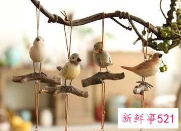 松果能做什么装饰品