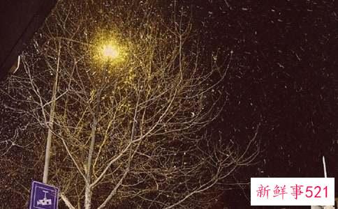 冬天皮肤怎么变白