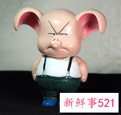 属猪人的全年运势详解