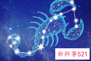 把老婆看的严的星座男