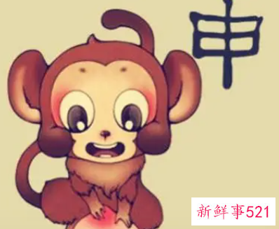 92属猴和95属猪相配吗