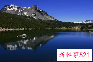 感悟句子致自己