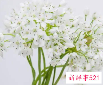 越相处越让人着迷的星座女