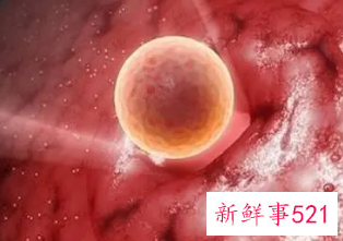 怎样才能知道有无排卵