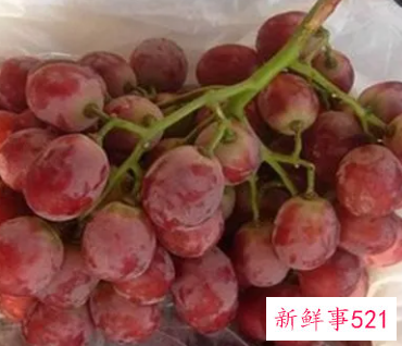 做梦吃红提是什么意思