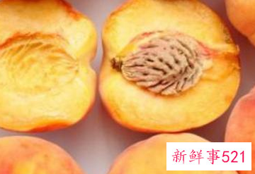 黄桃什么季节成熟