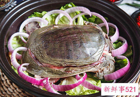 鹅肉炖甲鱼有什么功效与作用