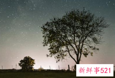 为什么天秤座突然冷漠