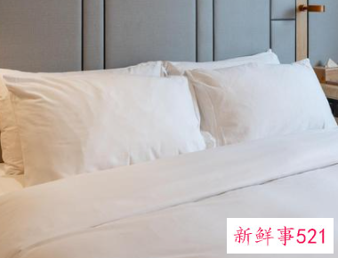 怎么除房间的螨虫跳蚤