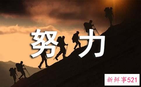 十二星座努力的理由