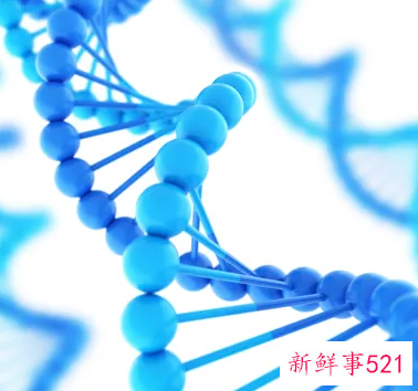 宝宝哪些特征来自于你的DNA