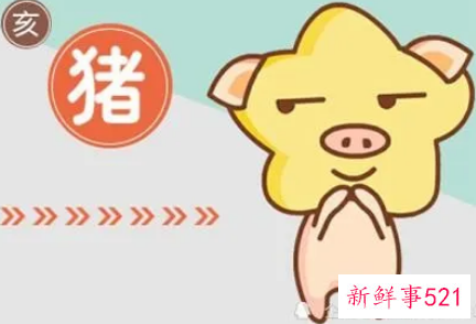 属猪在2022年的全年运势