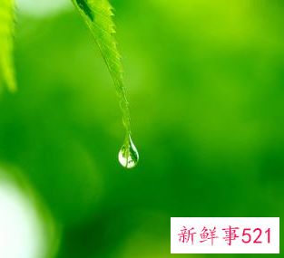 女生怎么丰胸最有效果