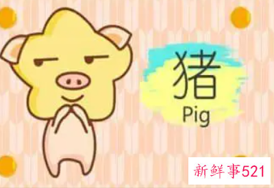 95年属猪人永久吉利的数字和颜色