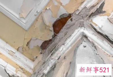 梦见下雨屋里漏雨是什么征兆