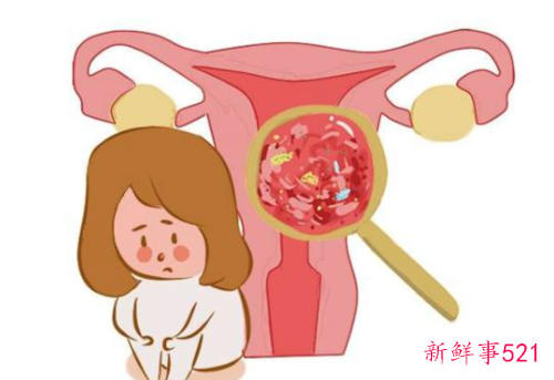 打四价还是九价